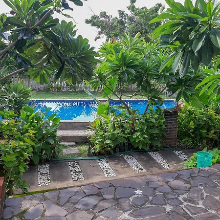 Oyo 3070 Villa Lovina Eco Lodge 外观 照片