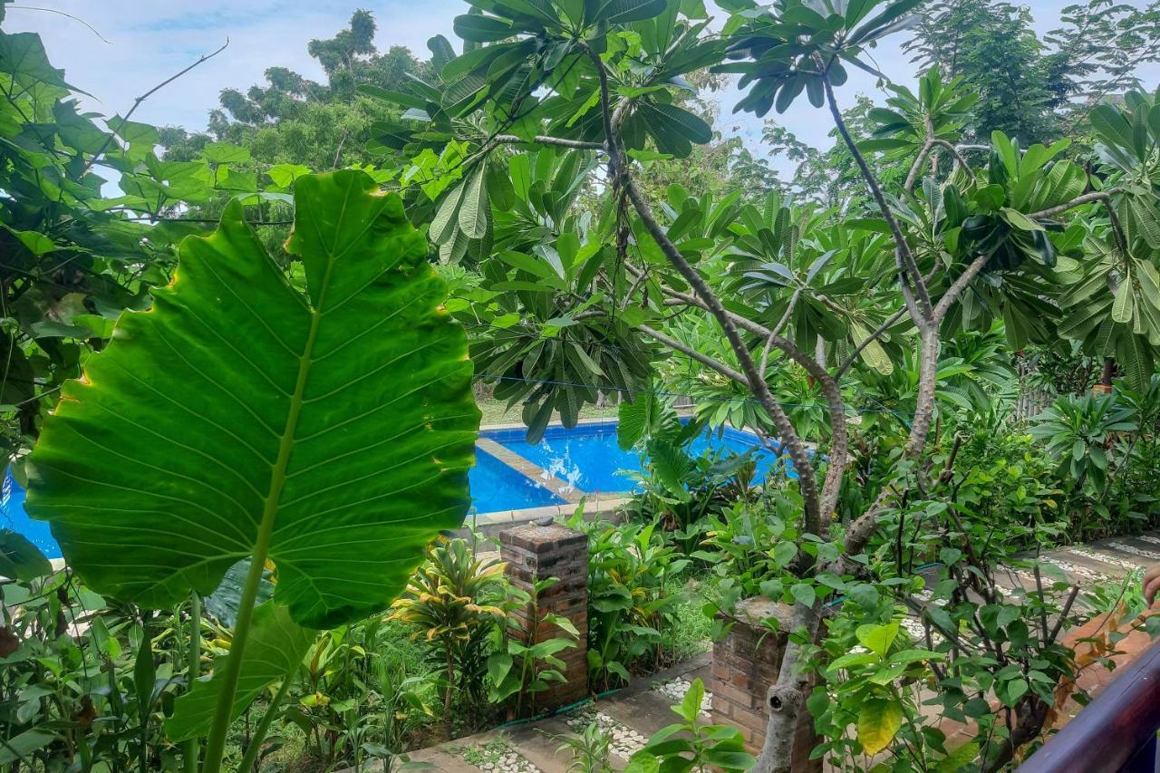 Oyo 3070 Villa Lovina Eco Lodge 外观 照片